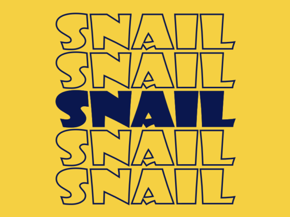 Snail Svg Cut File Review